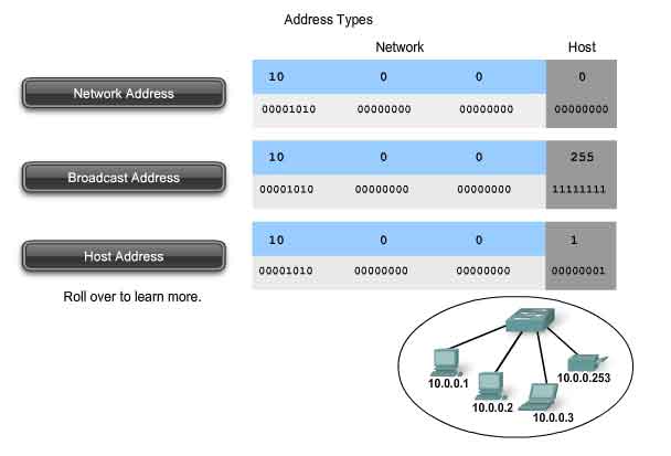 address types network and host portions