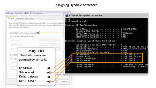 assigning dynamic addresses