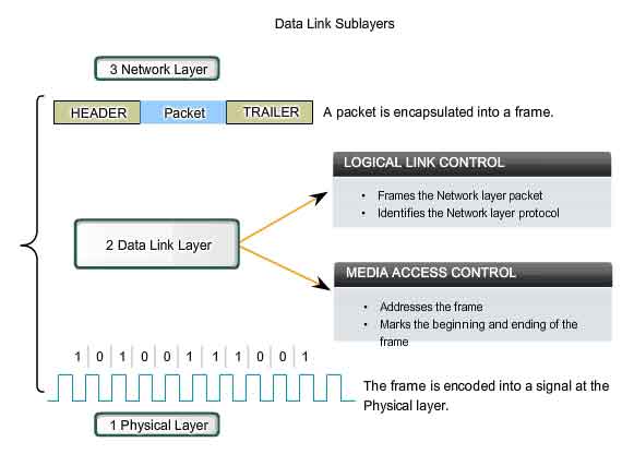 sottostrato data link LLC logical link control MAC media access control
