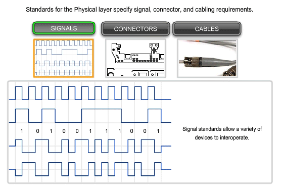 standards for the physical layer specify signal connector and cabling requirements