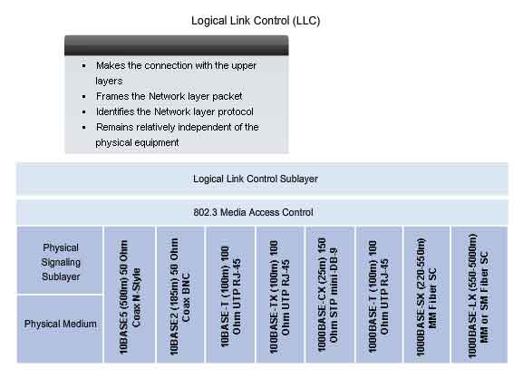 LLC logical link control