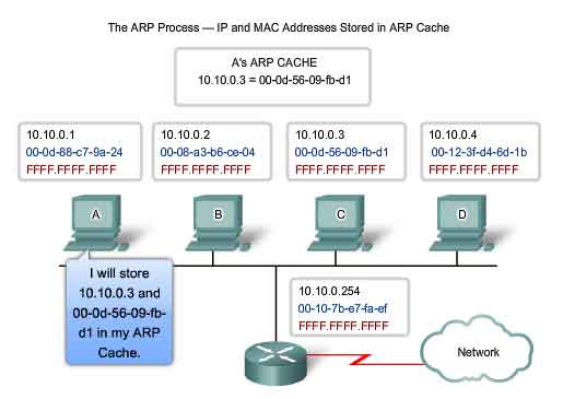 processo ARP indirizzi IP e MAC immagazinati nella cache ARP