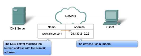 DNS server matches the human address with the numeric address