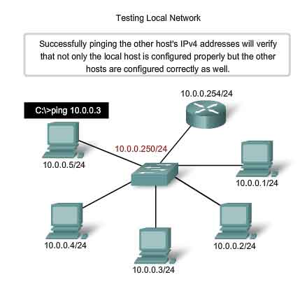 testing local network