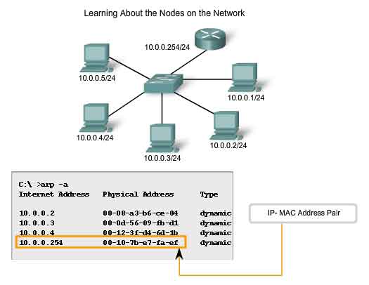 learning about the nodes on the network