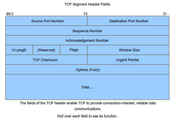 campi testata segmento TCP