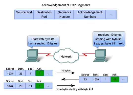 acknowledgement of TCP segments