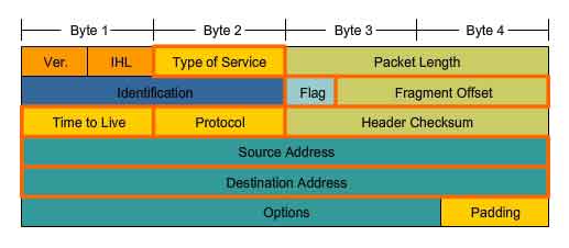 network layer field