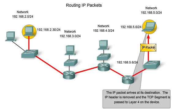 routing IP packets